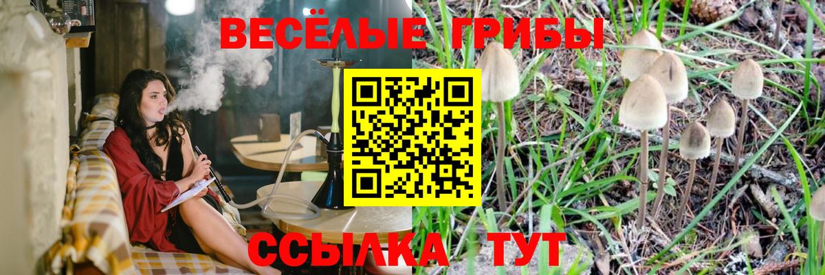 Псилоцибиновые грибы ЛСД  Вход с VPN  Псилоцибиновые грибы Psilocybe  Красноуфимск 