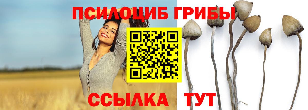 Псилоцибиновые грибы Magic Shrooms Красноуфимск